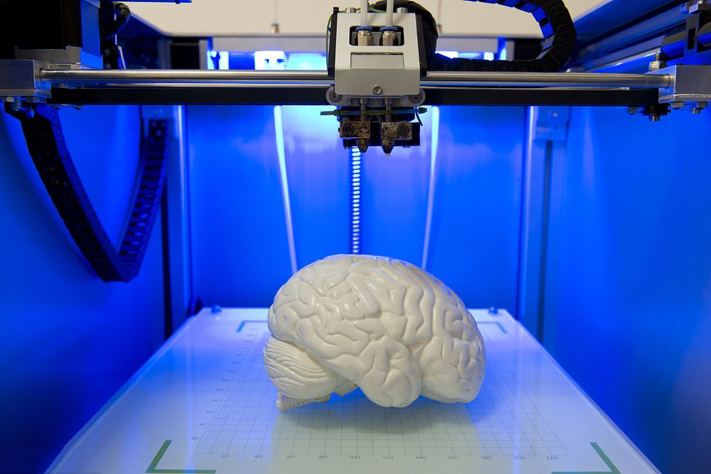 Living Brain Tissues Printed On A 3d Printer Started Talking To Each Other Bright Uzbekistan 5883