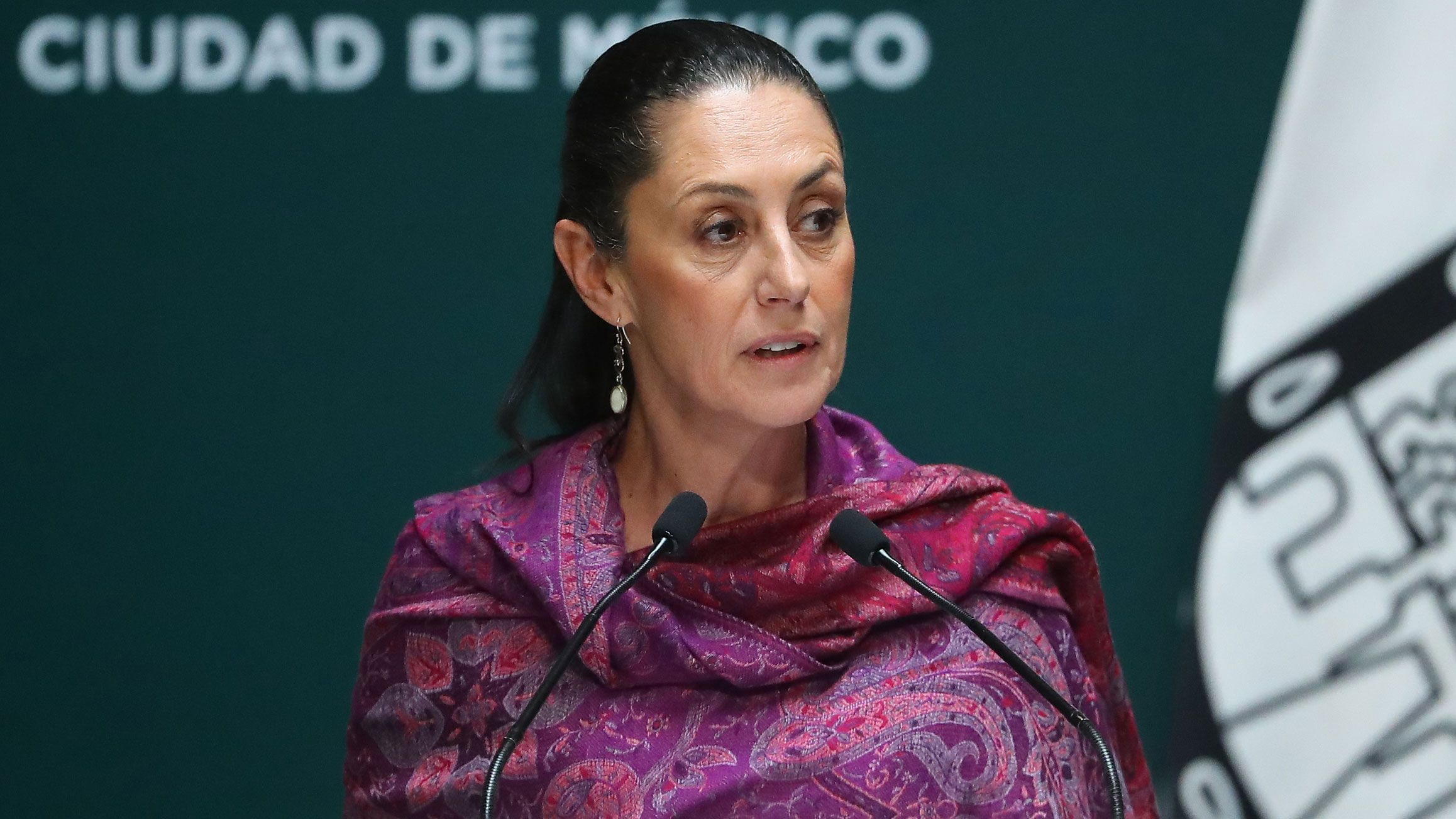 Шейнбаум мексика. Клаудия шейнбаум. Клаудия шейнбаум политик. Клаудия шейнбаум. Клаудия шейнбаум.